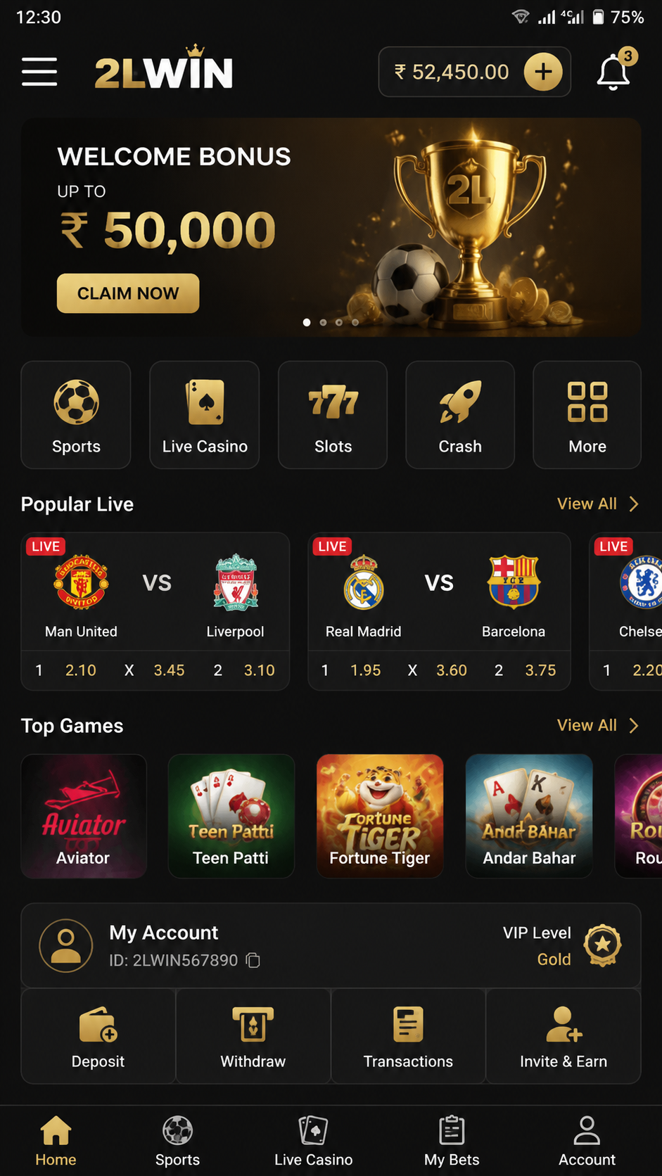 2lwin screenshot